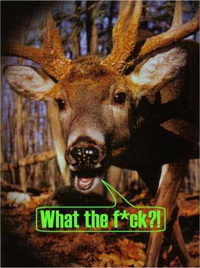 Name:  WTF2.jpg
Views: 35
Size:  53.8 KB