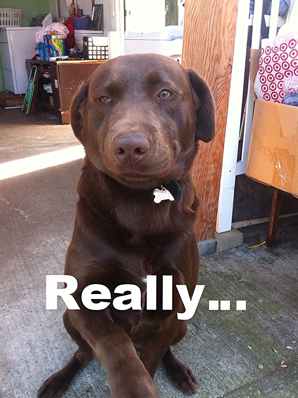 Name:  2665b052-01ae-4852-bdaa-f0876e3114f5_zps842c4106.jpg
Views: 123
Size:  449.1 KB