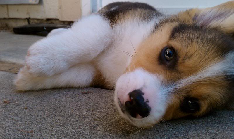 Name:  IMAG0144.jpg
Views: 10
Size:  52.2 KB