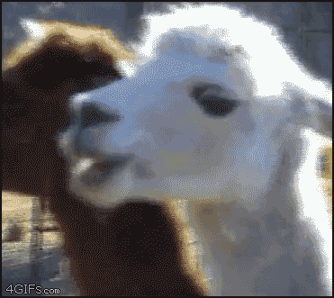 Name:  1363375184018_zps56c979e5.gif
Views: 24
Size:  2.00 MB