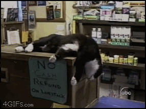 Name:  Lazy_cat_drop.gif
Views: 23
Size:  1.24 MB