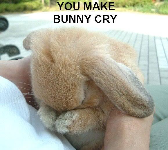 Name:  BunnyCry.jpg
Views: 27
Size:  55.0 KB