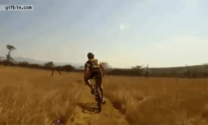Name:  abd-134-1.gif
Views: 150
Size:  3.06 MB
