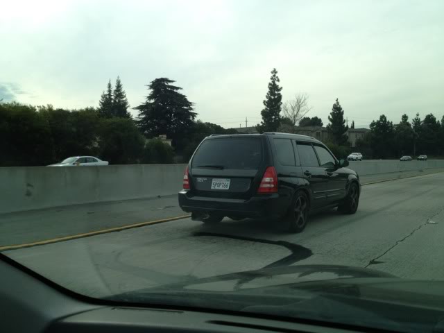 Name:  b2dbf064.jpg
Views: 15
Size:  30.7 KB