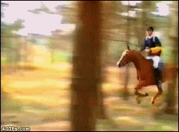 Name:  abd-173.gif
Views: 111
Size:  1.96 MB