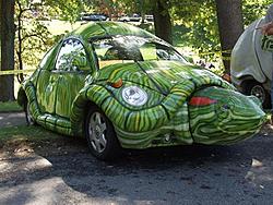 Turtle Beetle-car3.jpg