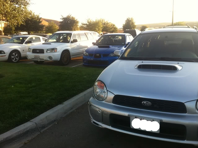Name:  schoolwrx.jpg
Views: 19
Size:  55.5 KB