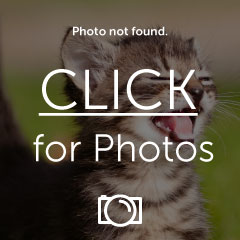 Name:  Morbo.gif
Views: 15
Size:  14.0 KB