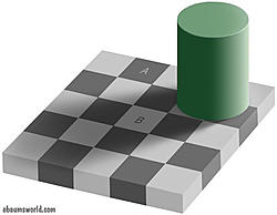 Are they moving?-optical2.jpg