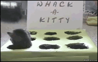 Name:  NG3Wm.gif
Views: 105
Size:  1.90 MB