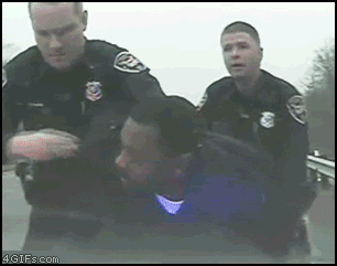 Name:  Eating_evidence.gif
Views: 58
Size:  1.77 MB