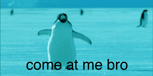 Name:  comeatmebro.gif
Views: 146
Size:  358.7 KB