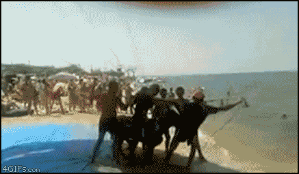 Name:  1291480392149.gif
Views: 224
Size:  1.90 MB