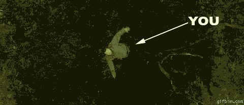Name:  threadwrecker.gif
Views: 30
Size:  416.2 KB
