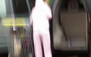 Name:  americansh.gif
Views: 79
Size:  2.05 MB