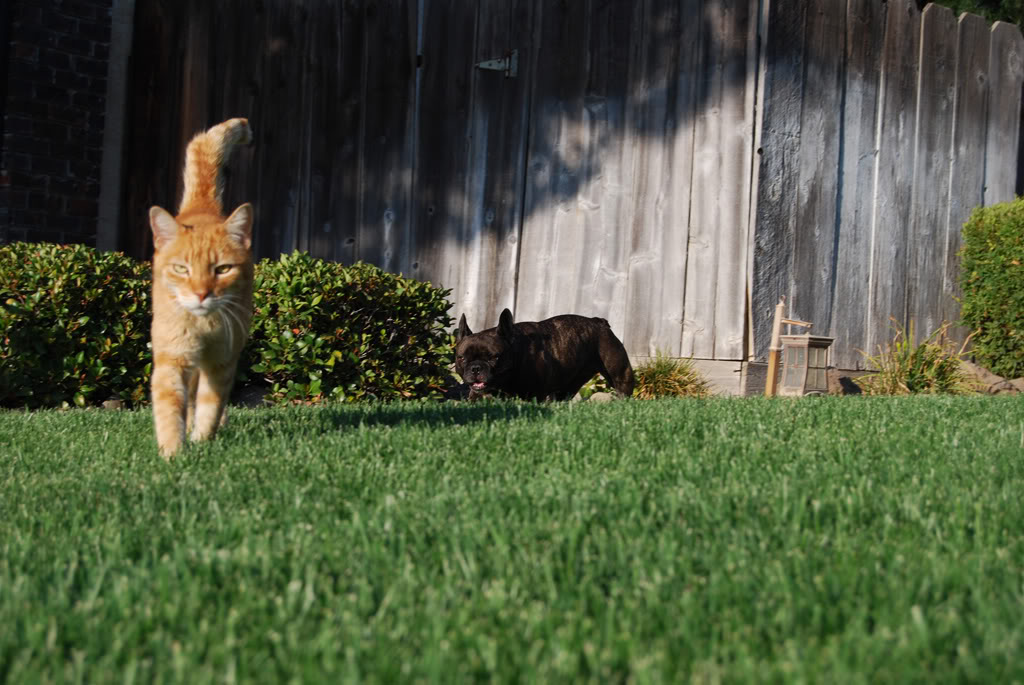 Name:  DSC_0028.jpg
Views: 26
Size:  133.4 KB