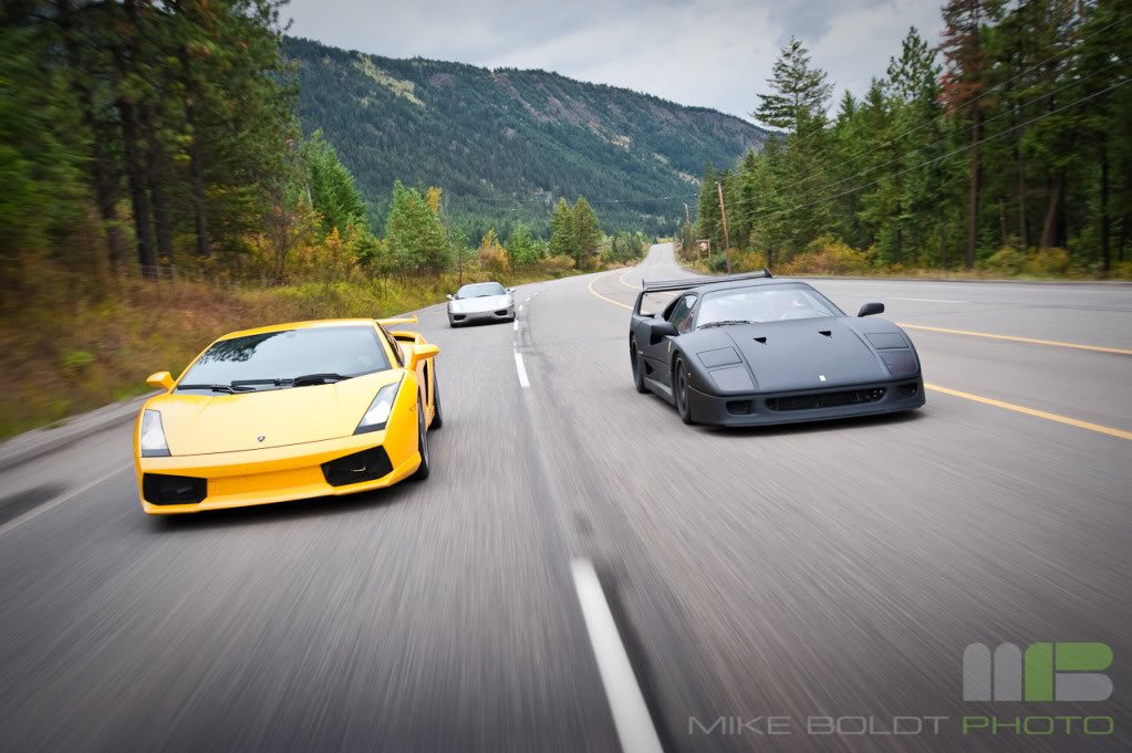 Name:  DSC_0198copy.jpg
Views: 95
Size:  127.4 KB