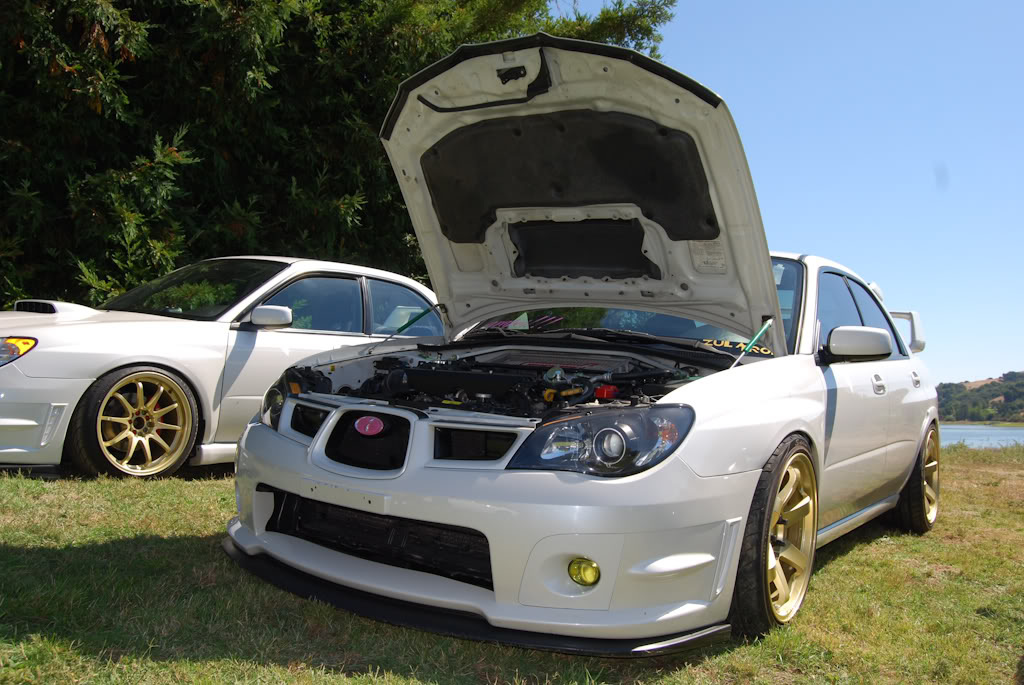 Name:  DSC_0010.jpg
Views: 13
Size:  153.1 KB