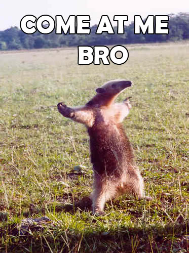 Name:  anteater.jpg
Views: 61
Size:  65.8 KB
