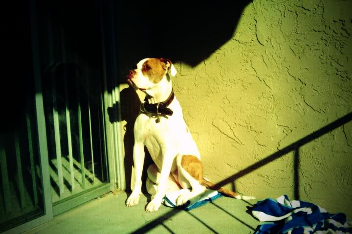 Name:  e1c0ad61.jpg
Views: 40
Size:  59.6 KB