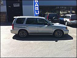 Name:  boxerfxt.jpg
Views: 138
Size:  12.1 KB