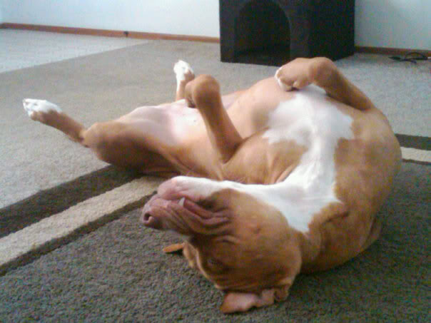Name: kane7-2-10.jpg
Views: 18
Size: 45.5 KB