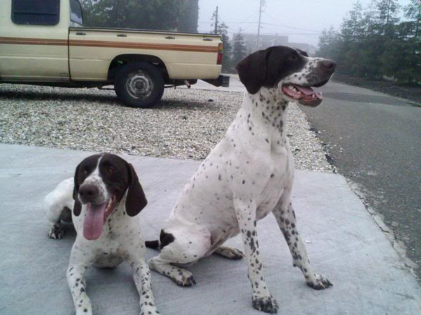 Name: Themagain.jpg
Views: 22
Size: 47.5 KB