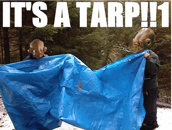 Name:  its_a_tarp.gif
Views: 16
Size:  143.5 KB
