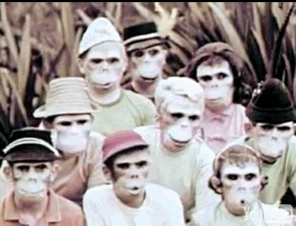 Name:  _008.gif
Views: 370
Size:  5.22 MB