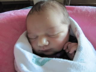Name:  IMG_0427.jpg
Views: 18
Size:  22.7 KB