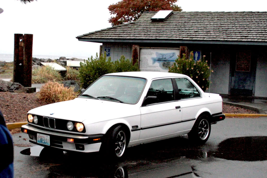 Name:  IMG_57911-1.jpg
Views: 195
Size:  163.2 KB