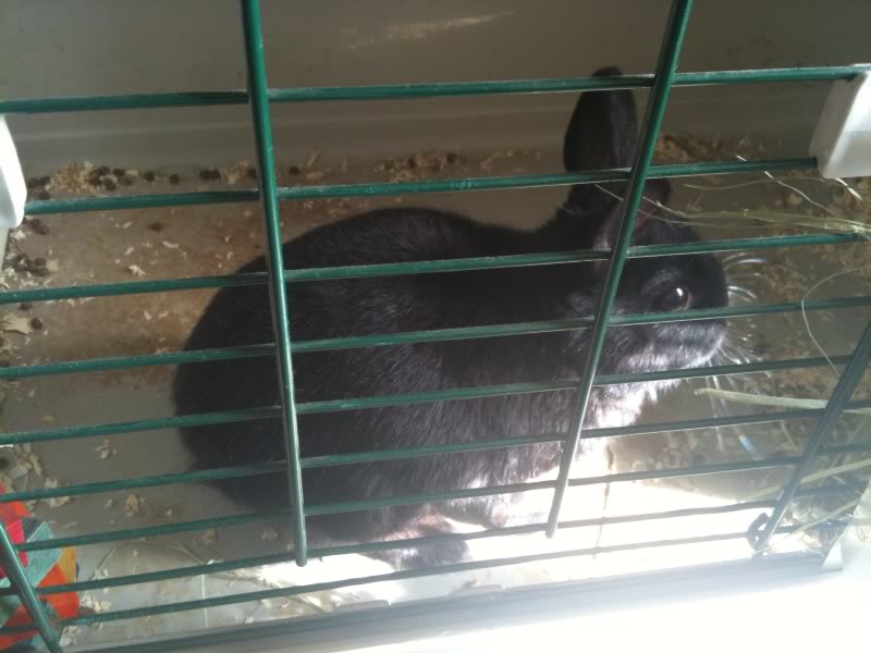 Name:  4.jpg
Views: 15
Size:  59.3 KB