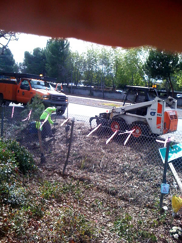 Name:  photo3.jpg
Views: 100
Size:  200.7 KB