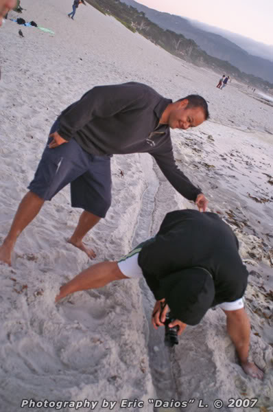 Name:  PICT8406.jpg
Views: 92
Size:  47.5 KB