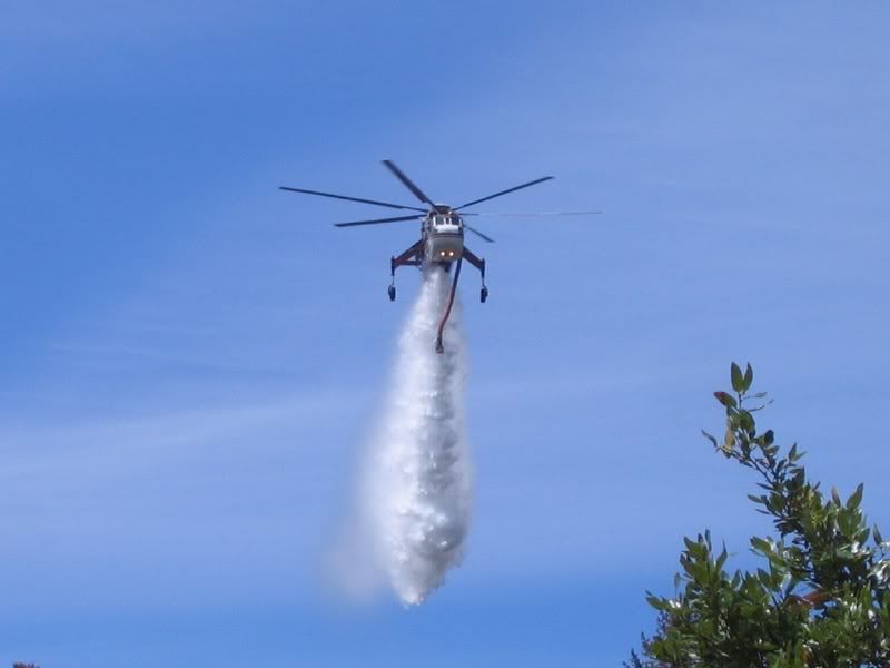 Name:  skycrane.jpg
Views: 55
Size:  28.8 KB