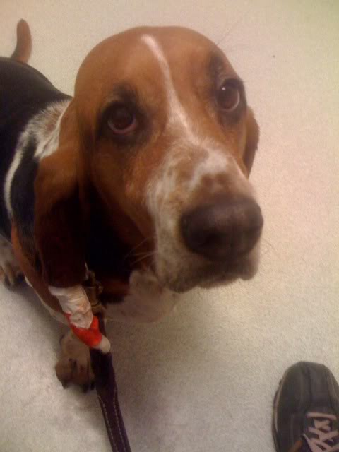 Name:  photo-14.jpg
Views: 29
Size:  31.6 KB