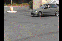 Name:  orly.gif
Views: 49
Size:  421.0 KB