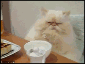 Name:  Table_cat_distracted.gif
Views: 104
Size:  1.77 MB