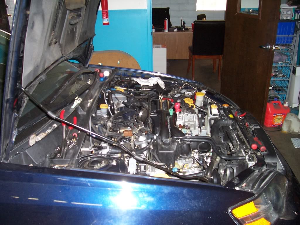 Name:  102_3873.jpg
Views: 26
Size:  138.9 KB