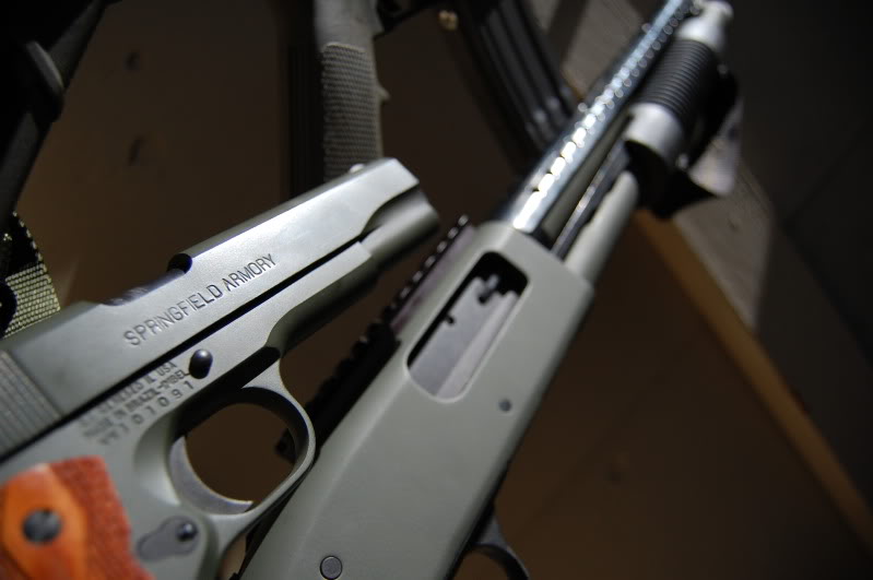 Name:  DSC_0053.jpg
Views: 14
Size:  63.4 KB