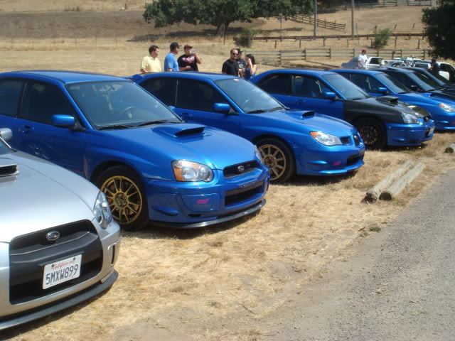 Name:  DSC01764.jpg
Views: 13
Size:  105.3 KB