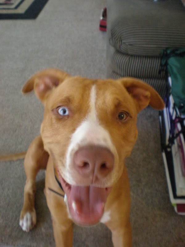 Name:  P8100181.jpg
Views: 22
Size:  54.1 KB