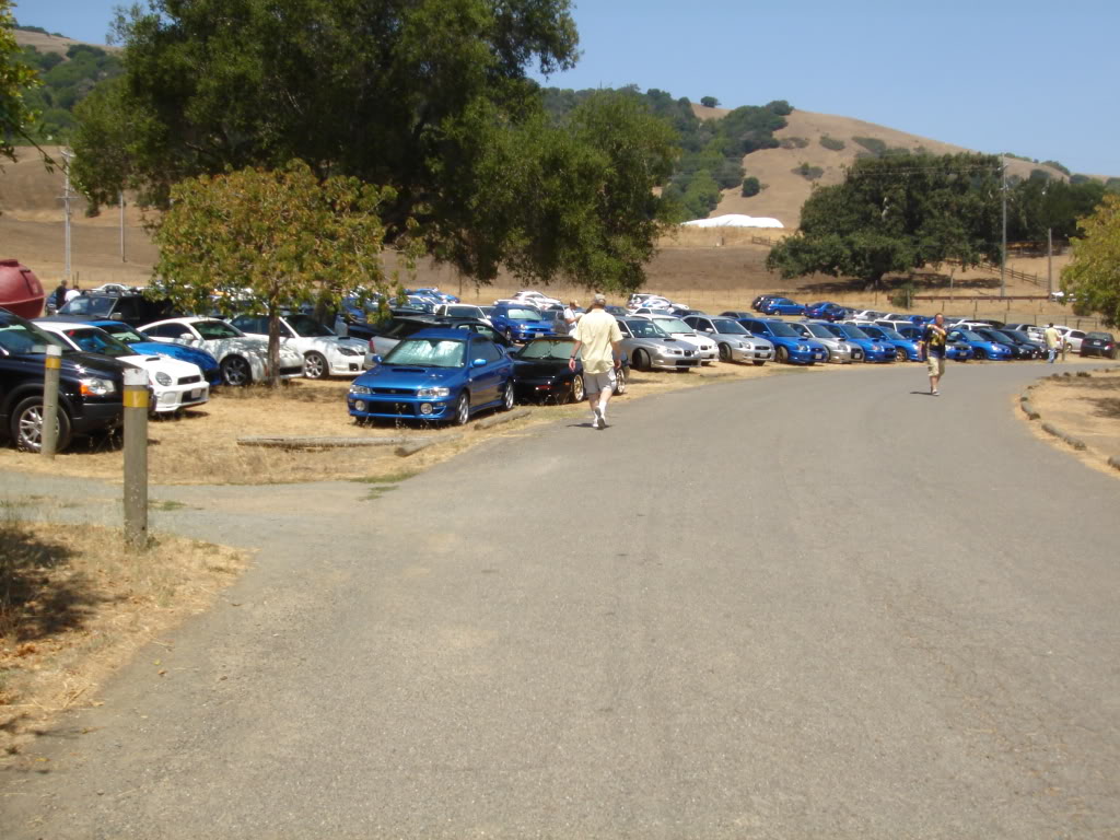 Name:  DSC02304.jpg
Views: 22
Size:  159.4 KB