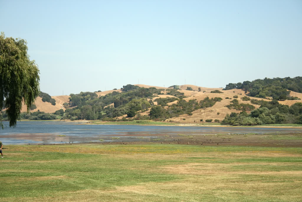 Name:  03.jpg
Views: 21
Size:  127.8 KB
