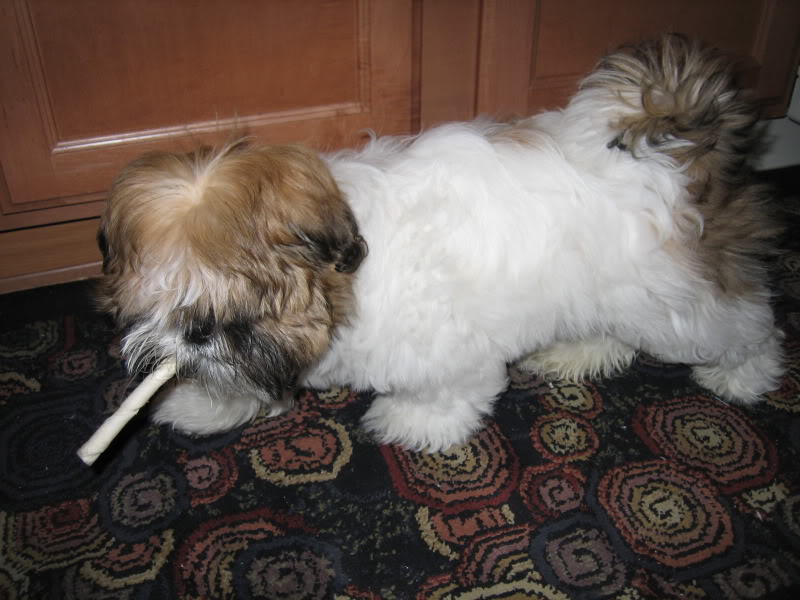 Name:  IMG_2071.jpg
Views: 18
Size:  89.3 KB