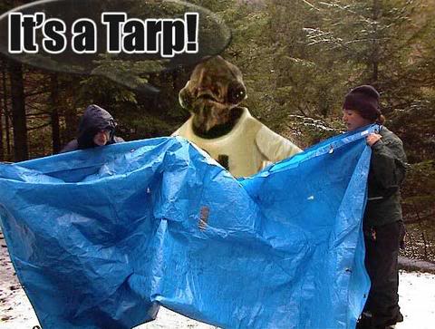 Name:  tarp-30198.jpg
Views: 15
Size:  40.2 KB