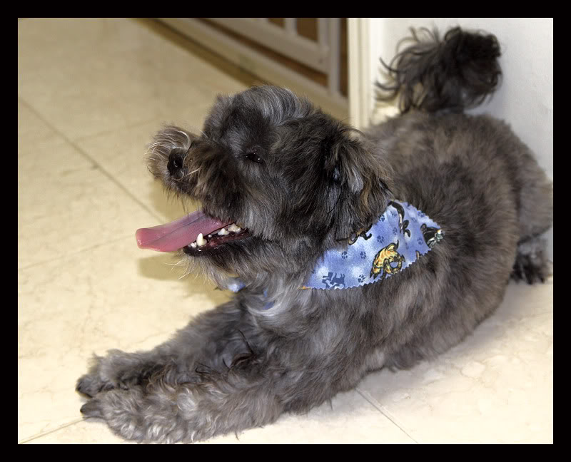 Name:  10b0551e.jpg
Views: 63
Size:  90.8 KB