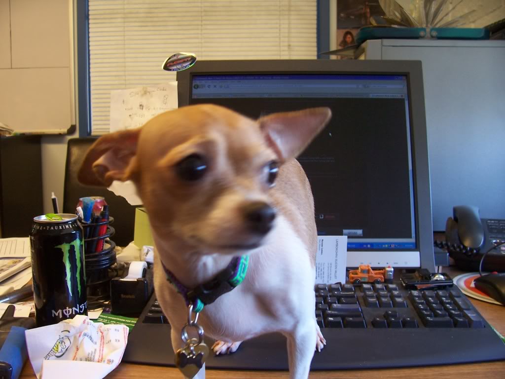 Name:  102_3526.jpg
Views: 53
Size:  89.6 KB