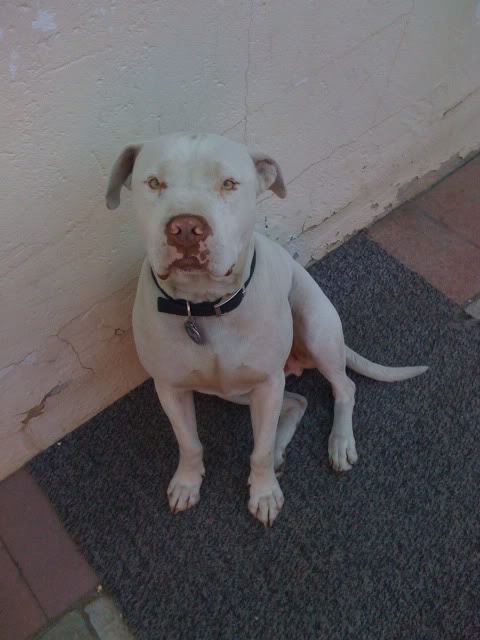 Name:  Kilo.jpg
Views: 58
Size:  48.7 KB