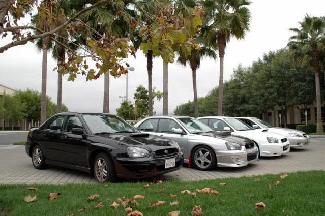 Name:  shoot3.jpg
Views: 16
Size:  62.9 KB